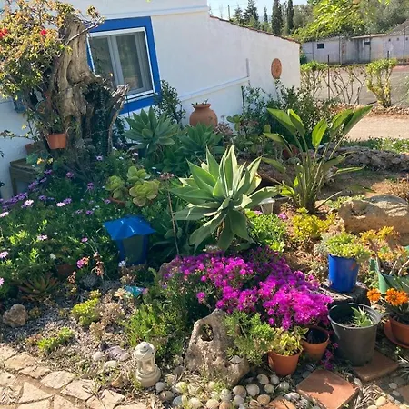 빌라 Casa Aleg *