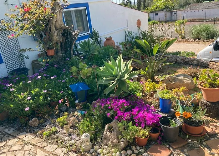 ヴィラ Casa Aleg *